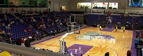 city of palms basketball|city of the palms.